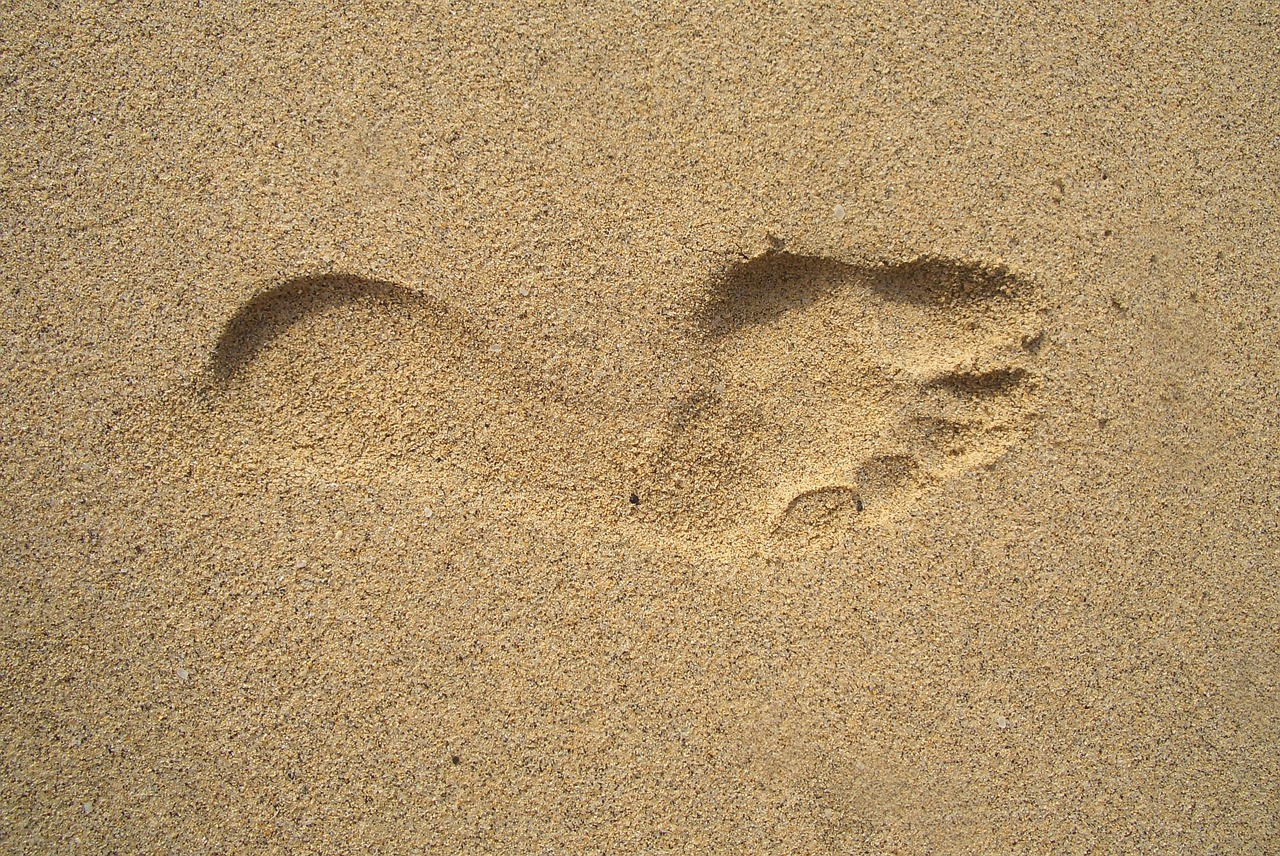 The Role of Doubt in Philosophy